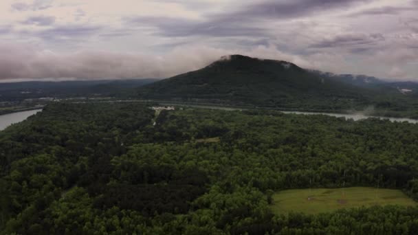 Imágenes de drones del bosque con vista a la montaña — Vídeos de Stock