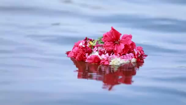 Suda yüzen bir çiçeğin görüntüleri. — Stok video
