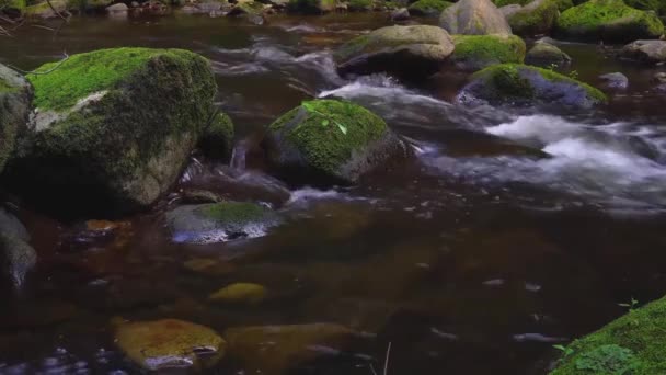 Montanha e sua vegetação — Vídeo de Stock