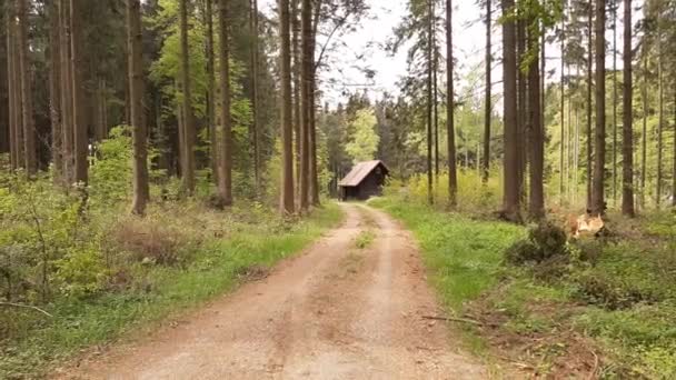 森の小屋へと続く道から — ストック動画