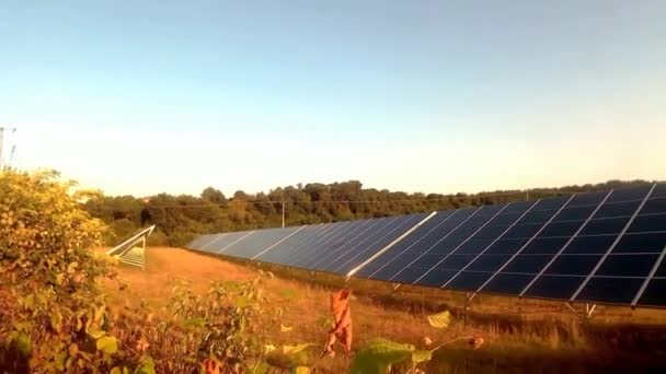 Pannelli solari come fonte di energia — Video Stock