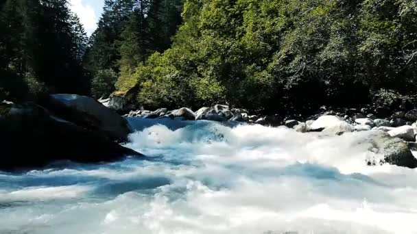 Forte corrente di un torrente fluviale — Video Stock