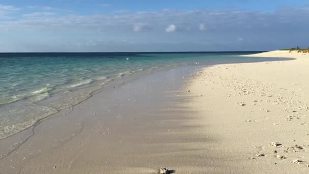 Die Meereswellen küssen den weißen Sand eines Inselstrandes — Stockvideo