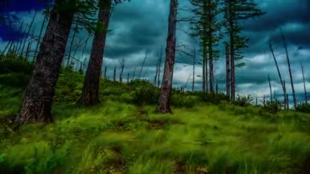 Timelapse di una collina erbosa sotto un cielo nuvoloso — Video Stock