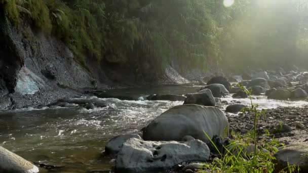 Vidéo de la rivière pendant la journée — Video