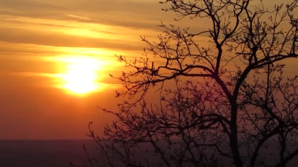 Uitzicht op een prachtige zonsondergang — Stockvideo