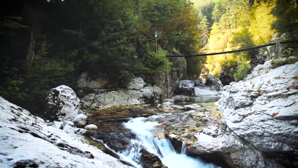 Вид на красивую реку — стоковое видео