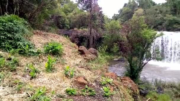 폭포와 흐르는 강 — 비디오