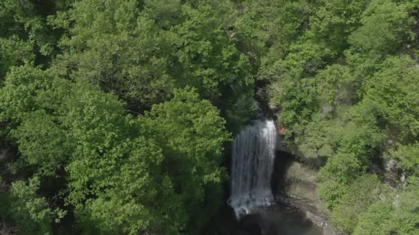 Chutes d'eau de haut en haut d'une montagne à une rivière — Video