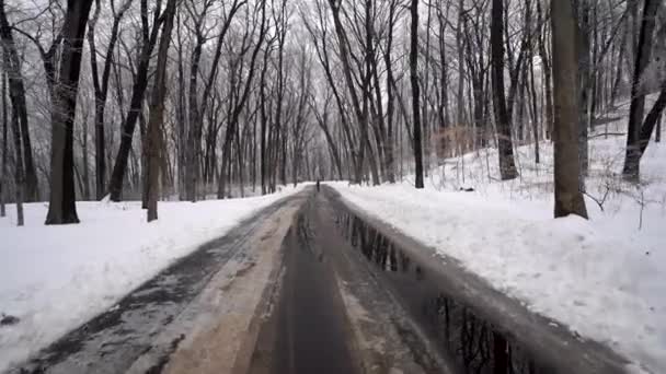 在覆盖着积雪的森林之间的湿路 — 图库视频影像