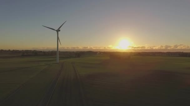 Turbina eólica en un campo al amanecer — Vídeo de stock