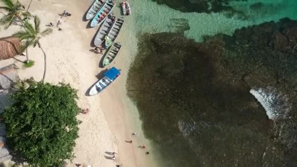 Дерев'яні човни, прикріплені на березі моря — стокове відео
