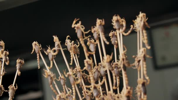 Скорпион на палочке служит деликатесом — стоковое видео
