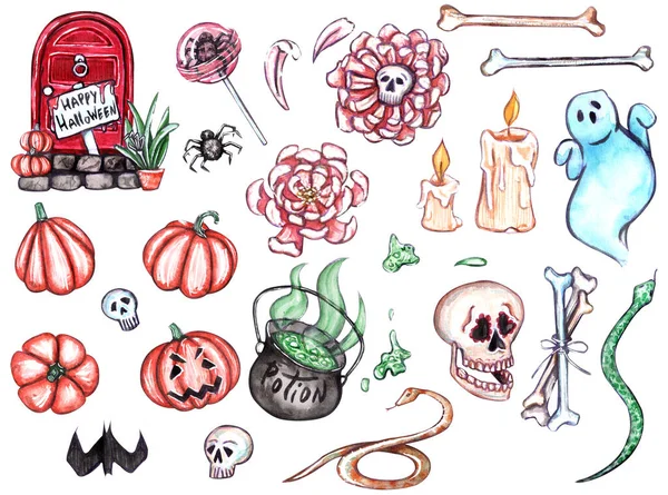 Acuarela Conjunto Elementos Sobre Tema Halloween Colección Calaveras Huesos Calabazas — Foto de Stock