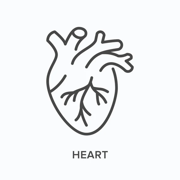 Icono de línea plana corazón. Esquema vectorial ilustración del órgano humano. Pictograma médico lineal delgado cardiovascular, cardiológico — Vector de stock