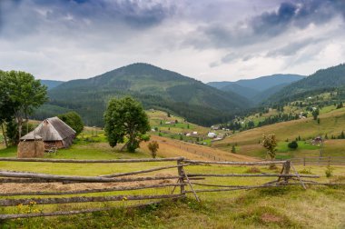 Karpatya toprağı ve güzellik çiftliği