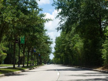 Ağaçlık bir sokak Woodlands, TX 'de trafiğe bakıyor..