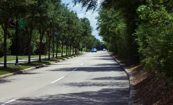 Tree Lined Road Facing Oncoming Traffic Woodlands — Stock Photo, Image