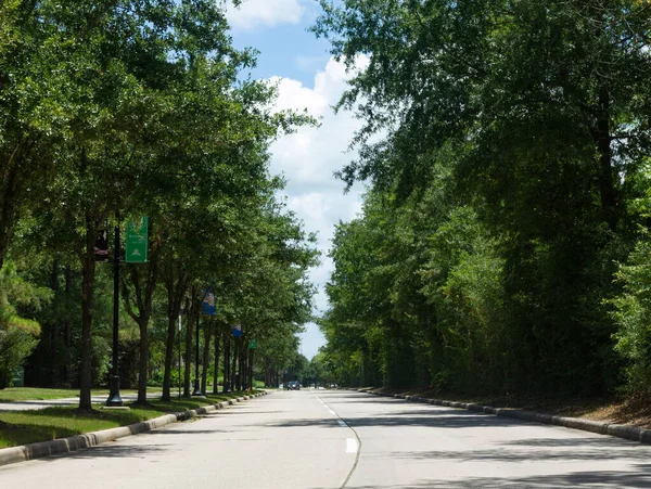 Tree Lined Street Facing Oncoming Traffic Woodlands — Stock Photo, Image