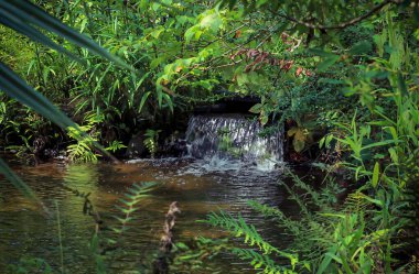 İlkbaharda halka açık bir parktaki gölete küçük bir şelale, TX.