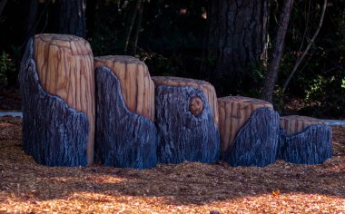 Conroe 'da bir çocuk parkında sahte kütükler, TX