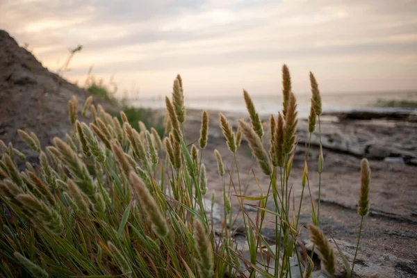 Deniz kıyısında yaz günbatımı