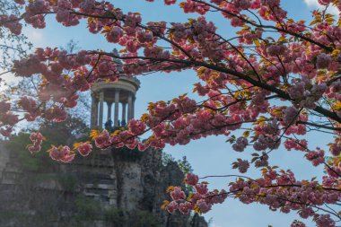 Paris, Fransa - 04 13 2019: Park Buttes-Chaumont. Kiraz çiçeği.