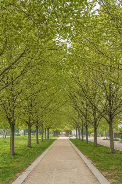 Gennevilliers, France - 04 11 2020: Walk in a park around my hom