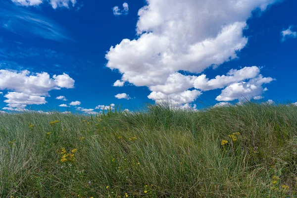 Courseulles Sur Mer França 2020 Juno Beach Green Grass Cloudy — Fotografia de Stock