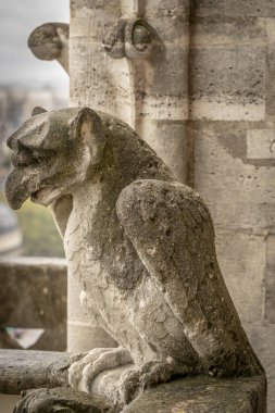 Paris, Fransa - 09: 24 2025 Notre-Dame Katedrali De Paris. Arkadaki Chimera ve Paris anıtlarının ayrıntılarına bak.
