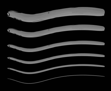 Fırça Düz Boya Mürekkebi Dekoratif El Çizimi Kenarlık Tasarım Vektörü İllüstrasyonu