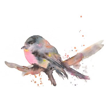 Stilize şakrak kuşu suluboya resim. El bir dalda oturan kuş çekilmiş. Beyaz izole