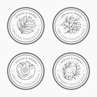 Baharat ve bitki vintage etiket koleksiyonu. Siyah ve beyaz yuvarlak ambalaj tasarımı için etiket şablonlar. Taze yerel organik koleksiyonu - trendy lineer tarzda logosu