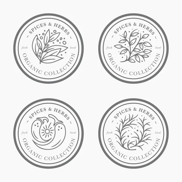 Baharat ve bitki vintage etiket koleksiyonu. Siyah ve beyaz yuvarlak ambalaj tasarımı için etiket şablonlar. Taze yerel organik koleksiyonu - trendy lineer tarzda logosu