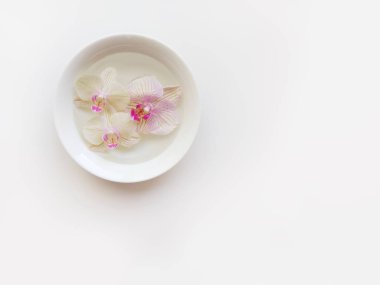 Orkide çiçekleri, beyaz tabak ve alan metin veya resim, beyaz arka plan ile düz yatıyordu kompozisyon. İş için hafif üstten görünüm fotoğraf