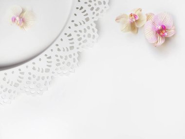 Orkide çiçekleri, zarif plaka ve alan metin veya resim, beyaz arka plan düz yatıyordu kompozisyonu. İş için hafif üstten görünüm fotoğraf