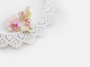 Orkide çiçekleri, zarif plaka ve boş kağıt sayfası metin veya resim, beyaz arka plan için düz yatıyordu kompozisyonu. İş için hafif üstten görünüm fotoğraf