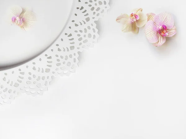 Composición Plana Con Flores Orquídea Elegante Plato Espacio Para Texto — Foto de Stock