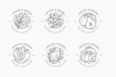Baharat ve bitki etiket koleksiyonu. Siyah ve beyaz rozetleri şablonları yuvarlak. Taze yerel organik koleksiyonu - trendy lineer tarzda logosu