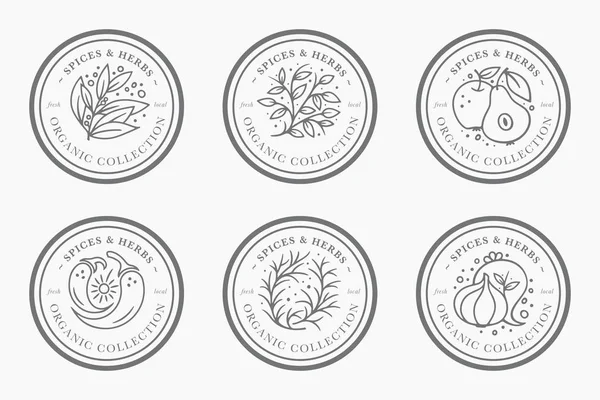 Baharat ve bitki vintage etiket koleksiyonu. Siyah ve beyaz yuvarlak ambalaj tasarımı için etiket şablonlar. Taze yerel organik koleksiyonu - trendy lineer tarzda logosu