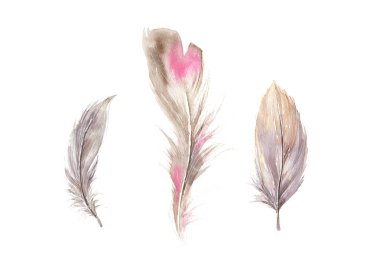 Elle çizilmiş suluboya tüy küme. Boho tarzı kuş tüyleri topluluğu. llustration üzerinde beyaz izole. Kuş tasarımı için yazdırma, T-shirt, davet, dekorasyon
