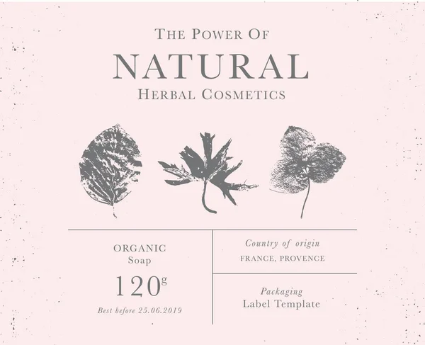 Customizable vintage label of Natural organic herbal products. — Stock Vector