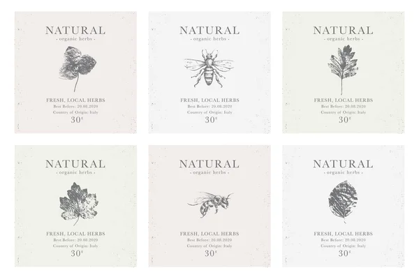 Conjunto de etiqueta vintage personalizable de Natural Organic prod a base de hierbas — Vector de stock