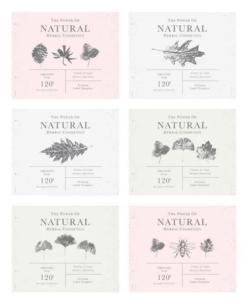 Set of customizable vintage label of Natural organic herbal prod — Stock Vector