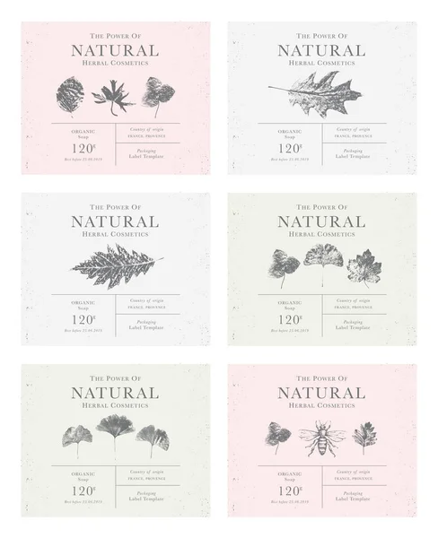 Set van aanpasbare Vintage label van natuurlijke biologische plantaardige Prod — Stockvector