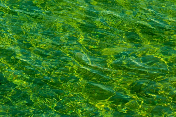 Photograph of water with small green waves; its colors vary from green to yellow. Ideal photo to use as a background image.