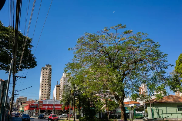 Blue, Brazil, Brazil street, building, color, Jorge Soares, Jundiai city, Jundiai, So Paulo, sky, SP, street, texture, wall, bus.