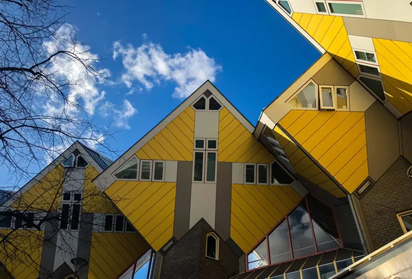 Kubus Huizen Rotterdam Nederland Innovatief Helder Architectuur Ontwerp Reisbestemming Bezienswaardigheid — Stockfoto