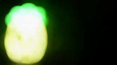 Floresan Neon Kaktüs Işığı Çimen Bitkisi Arkaplan Sulu Çöl Tropikal Lobisi Arkaplan Tasarımı Odaklanmak İçin Bulanık