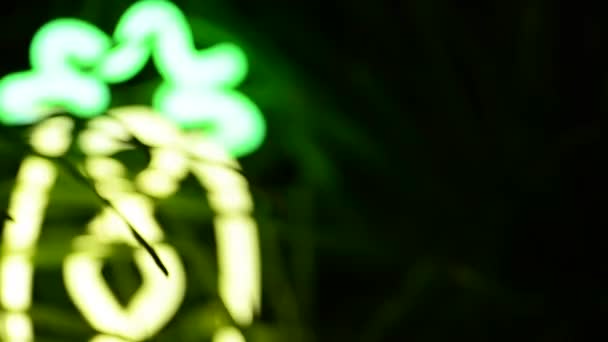 Fluorescent Neon Cactus Light Blurred Focus Grass Plant Background Succulent — Stock Video